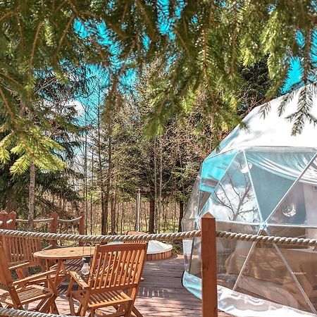 فندق Medve Dome - Luxury Camping In The Middle Of Nature فلاهيتا المظهر الخارجي الصورة