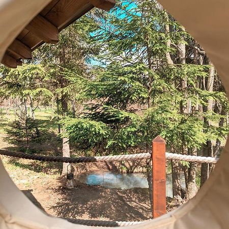 فندق Medve Dome - Luxury Camping In The Middle Of Nature فلاهيتا المظهر الخارجي الصورة