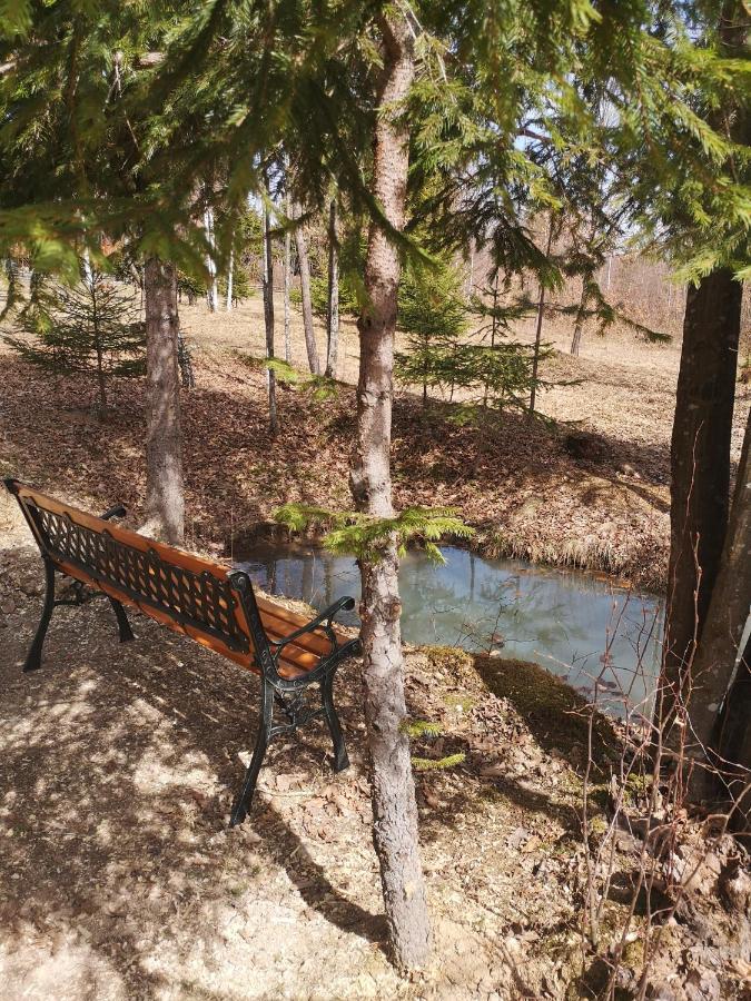فندق Medve Dome - Luxury Camping In The Middle Of Nature فلاهيتا المظهر الخارجي الصورة