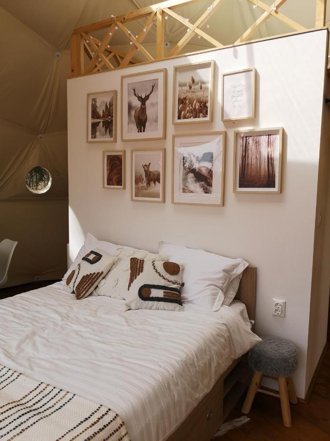 فندق Medve Dome - Luxury Camping In The Middle Of Nature فلاهيتا المظهر الخارجي الصورة