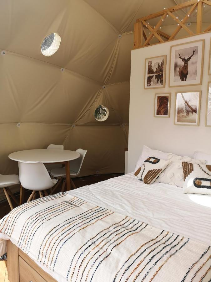 فندق Medve Dome - Luxury Camping In The Middle Of Nature فلاهيتا المظهر الخارجي الصورة