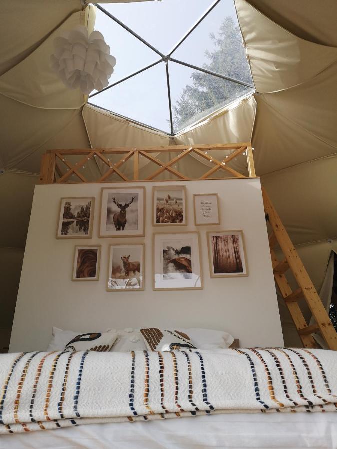 فندق Medve Dome - Luxury Camping In The Middle Of Nature فلاهيتا المظهر الخارجي الصورة