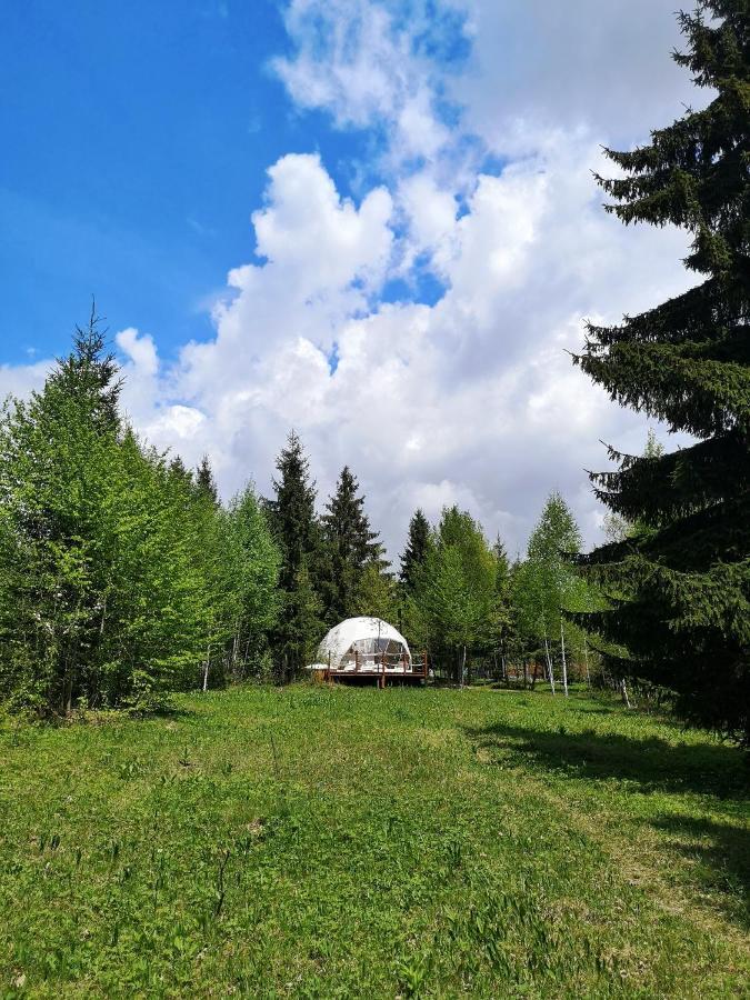 فندق Medve Dome - Luxury Camping In The Middle Of Nature فلاهيتا المظهر الخارجي الصورة