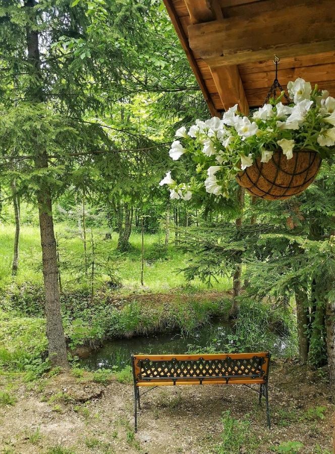 فندق Medve Dome - Luxury Camping In The Middle Of Nature فلاهيتا المظهر الخارجي الصورة