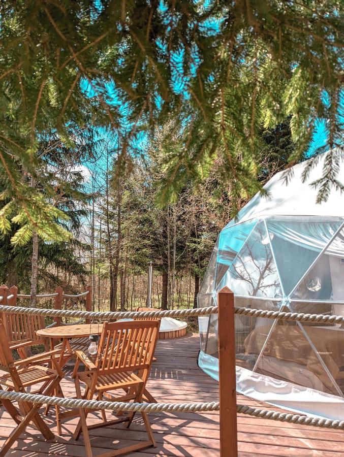 فندق Medve Dome - Luxury Camping In The Middle Of Nature فلاهيتا المظهر الخارجي الصورة