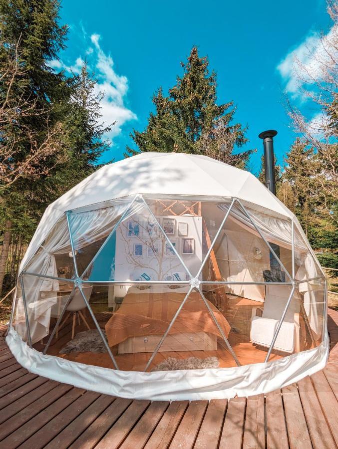 فندق Medve Dome - Luxury Camping In The Middle Of Nature فلاهيتا المظهر الخارجي الصورة