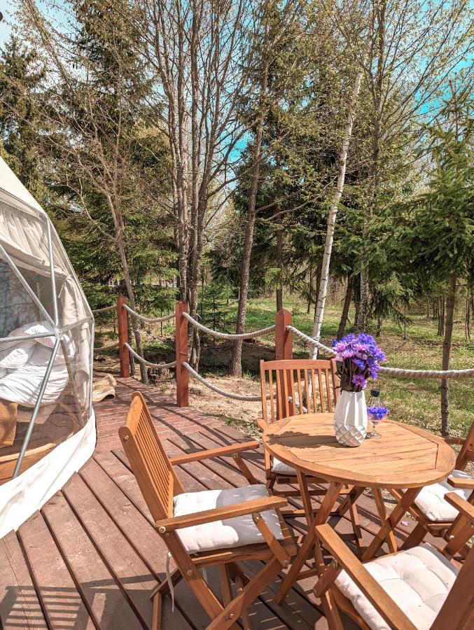 فندق Medve Dome - Luxury Camping In The Middle Of Nature فلاهيتا المظهر الخارجي الصورة