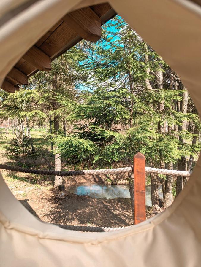 فندق Medve Dome - Luxury Camping In The Middle Of Nature فلاهيتا المظهر الخارجي الصورة